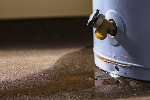 Best Carpet water damage restoration  in Rosenberg, TX