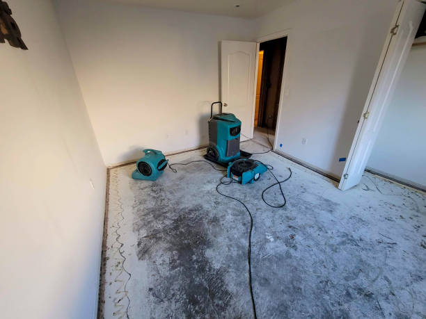 Best Water damage restoration specialists  in Rosenberg, TX