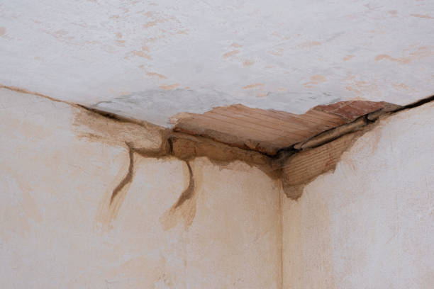 Best Water damage restoration near me  in Rosenberg, TX