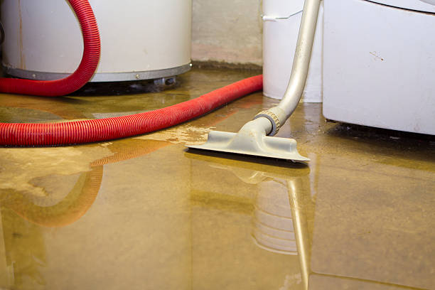 Best Commercial water damage restoration  in Rosenberg, TX