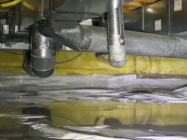 Best Basement water damage restoration  in Rosenberg, TX