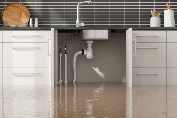 Best Water damage repair service  in Rosenberg, TX